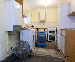 Cambridge Experts Sort Escape Of Water With Minimum Disruption For Tenant